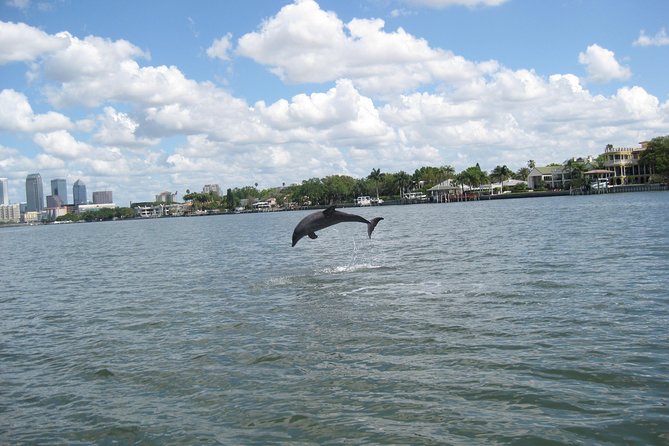 1.5-hour Dolphin Sightseeing Cruise from Tampa - Weather Cancellations and Schedule Changes