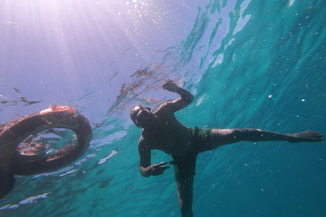 1 Day Wasini Dolphin Tour - Snorkeling at Kisite-Mpunguti Marine National Park