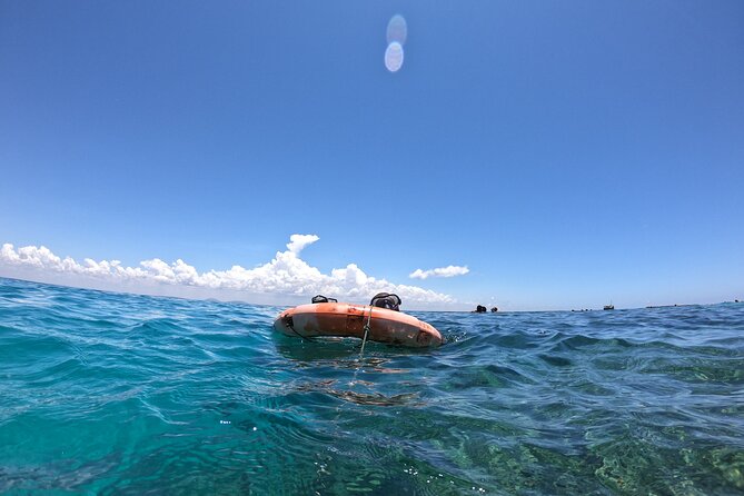 1 Day Wasini Dolphin Tour - Wasini Island, mangroves, and the coastal setting