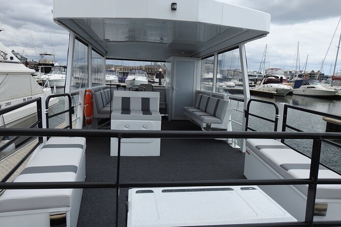 1 Hour Deluxe Scenic Dolphin Cruise - What the small boat adds to the experience