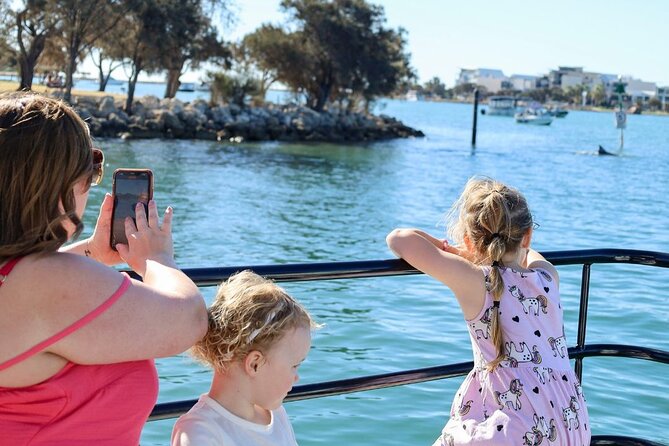 1 Hour Deluxe Scenic Dolphin Cruise - Is $27.26 good value?