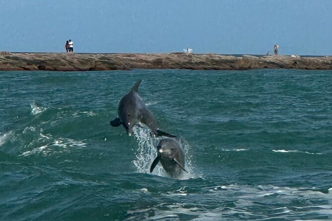 1 Hour Dolphin Dash - Setting Out From State Park Road 100