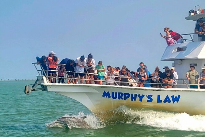1 Hour Dolphin Dash - Looking For Dolphins In The Lower Laguna Madre