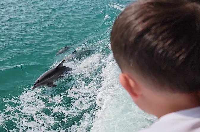 1 Hour Dolphin Dash - Onboard Sea Life And Hands-On Moments