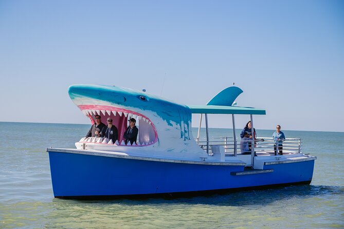1-hour Dolphin Sightseeing Adventure Cruise from Madeira Beach - Why the Shark Boat Makes This More Than a Standard Cruise