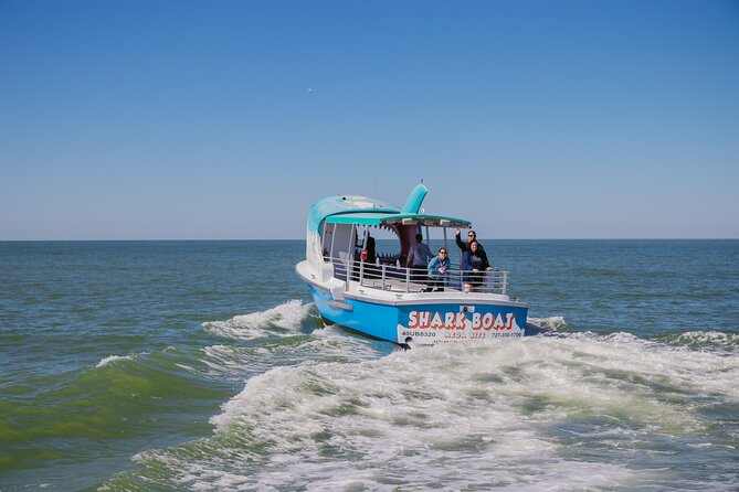 1-hour Dolphin Sightseeing Adventure Cruise from Madeira Beach - Practical Advice for a Better Departure