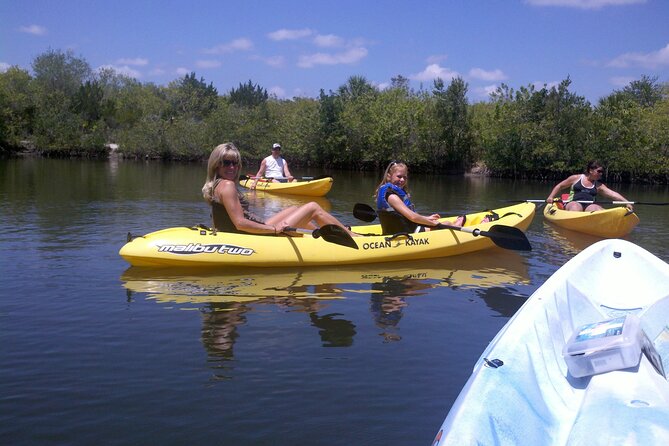 1-Hour Tandem Kayak Rental with Manatee & Dolphin sightings - Key Points Before You Paddle