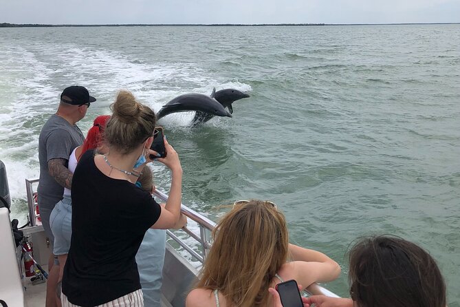 10,000 Islands Boat Excursion - 3.5-Hour Dolphins & Shelling Tour - Key things to know before you book