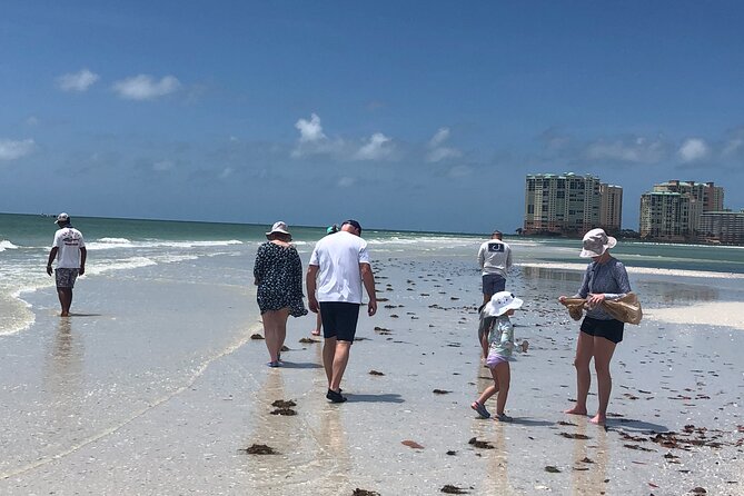 10,000 Islands Excursion Small-Group 3.5 hour Dolphin & Shelling Boat Tour - Setting out from Goodland near Marco Island