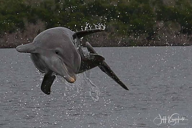 10,000 Islands Excursion Small-Group 3.5 hour Dolphin & Shelling Boat Tour - Guides, captains, and the feel on board