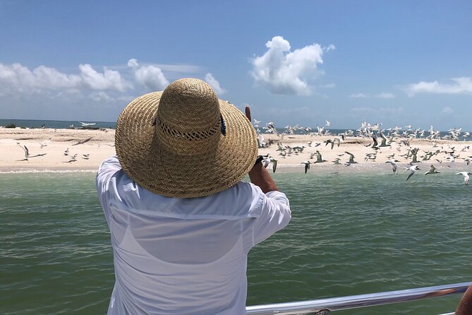 10,000 Islands Excursion Small-Group 3.5 hour Dolphin & Shelling Boat Tour - Who should book this boat tour