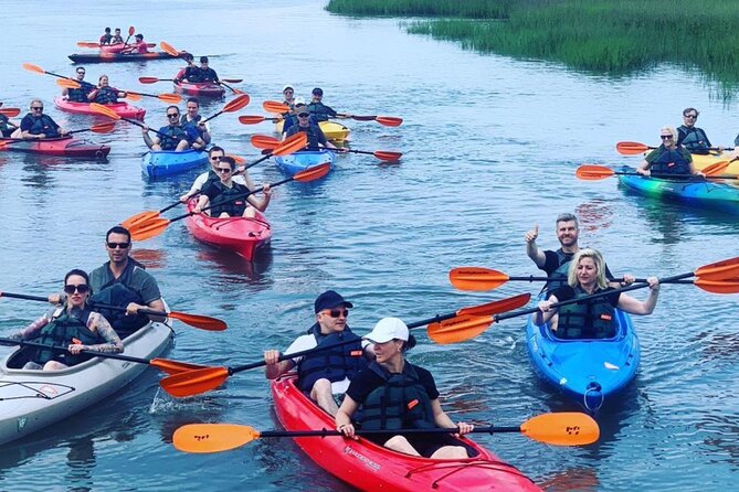 2 1/4 Hour Private Kayak Hilton Head Dolphin Nature Experience - Local Stories Between Wildlife Sightings