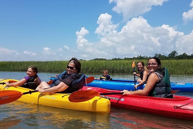 2 1/4 Hour Private Kayak Hilton Head Dolphin Nature Experience - A Private Paddle With Room to Pay Attention
