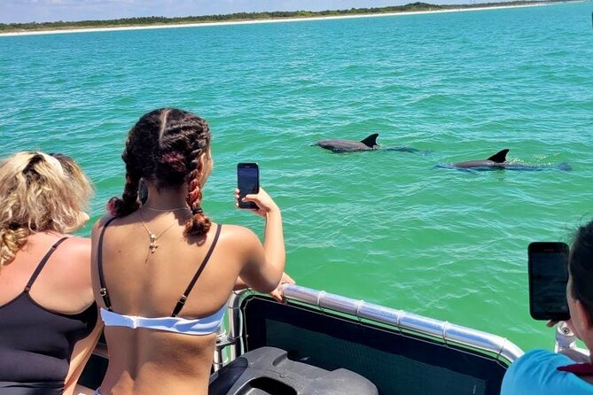 2.5 Hour Shell Key Island Adventure Including Dolphins And Shells - Cruising through Dolphin Bay and the mangroves