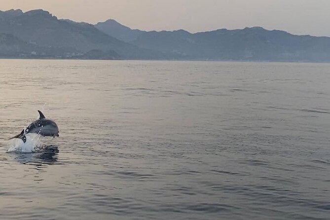 2.5 Hours Sunset Boat Tour in Search of Dolphins - Swimming in clear water, then raising a glass