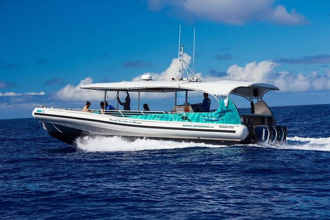 2 Hour Big Island Dolphin Watching and Sea Turtle Snorkel Tour - What Makes This Kona Boat Trip Worth Considering