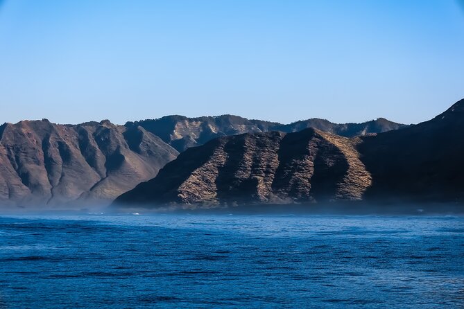 2 Hour Big Island Dolphin Watching and Sea Turtle Snorkel Tour - Judging the $88 Price
