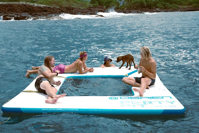2 Hour Big Island Dolphin Watching and Sea Turtle Snorkel Tour - Looking for Wild Dolphins Near Kailua-Kona