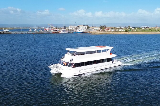 2-Hour Dolphin and Maritime Cruise in Port Adelaide - Key points to know before booking