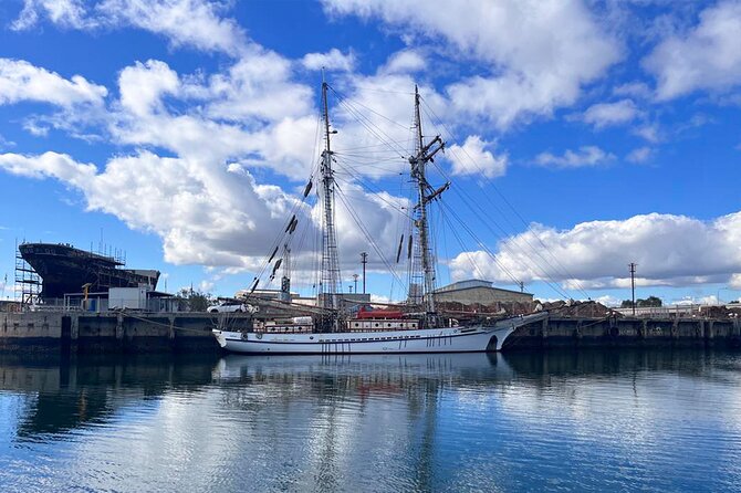 2-Hour Dolphin and Maritime Cruise in Port Adelaide - Historic ships and the City of Adelaide