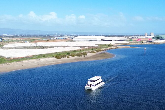 2-Hour Dolphin and Maritime Cruise in Port Adelaide - Is $63.12 good value for two hours?