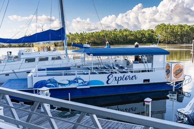 2-Hour Dolphin and Nature Eco Tour from Orange Beach - Setting out from Orange Beach’s back bays