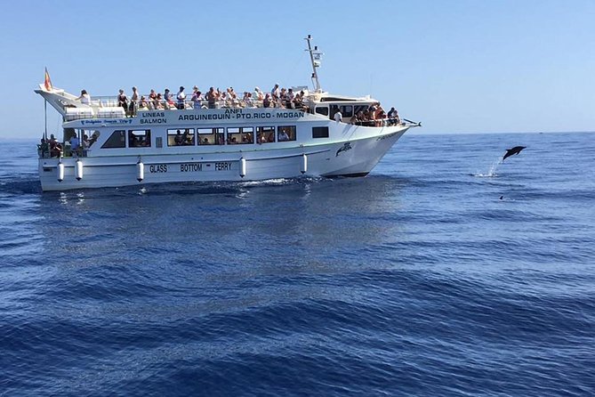 2-Hour Dolphin and Whale Watching in Gran Canaria - Leaving Puerto Rico for the Atlantic
