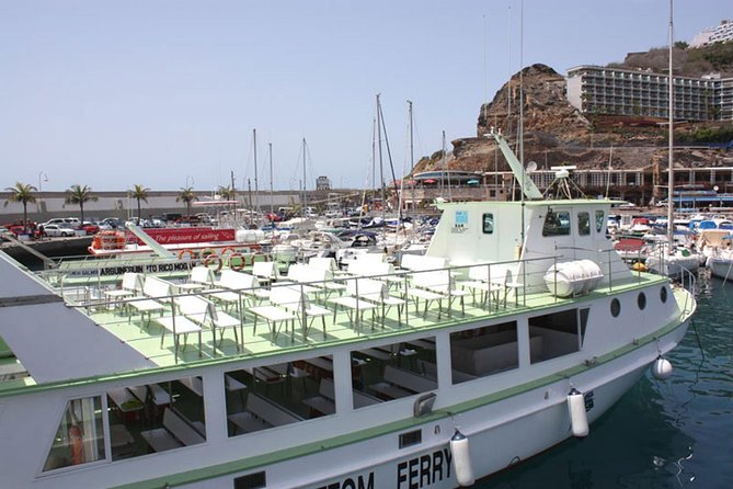 2-Hour Dolphin and Whale Watching in Gran Canaria - How good is the value at $42.05?