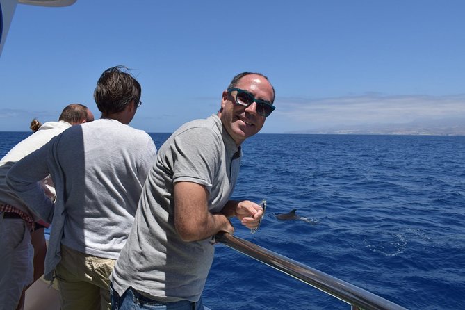 2-Hour Dolphin and Whale Watching in Gran Canaria - What the two-hour search is really like