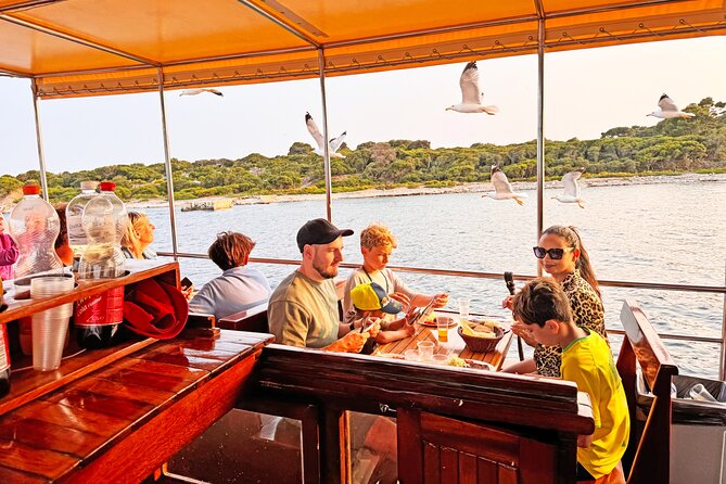 2-Hour Dolphin Guided Safari NP Brijuni from Fazana - A comfortable boat with your own table