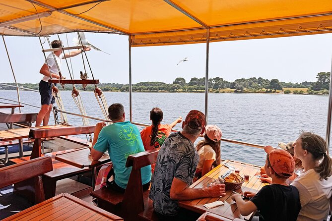 2-Hour Dolphin Guided Safari NP Brijuni from Fazana - Drinks, WiFi, and the practical comforts