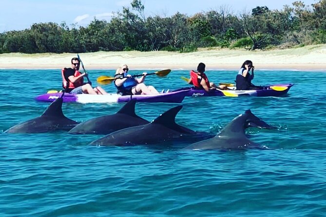 2-Hour Dolphin Kayak & Snorkel Tour on the Broadwater - Setting out from the Broadwater