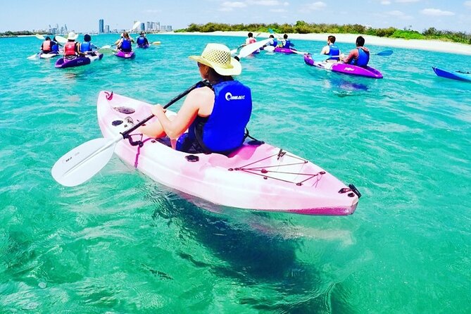 2-Hour Dolphin Kayak & Snorkel Tour on the Broadwater - The guides and the tone of the trip