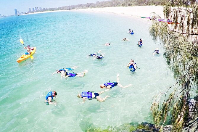 2-Hour Dolphin Kayak & Snorkel Tour on the Broadwater - How much value do you get for $62.40?