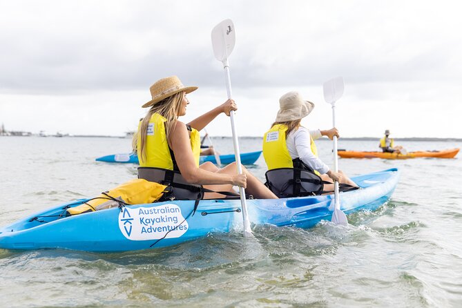2-Hour Dolphin Kayak & Snorkel Tour on the Broadwater - Who should book this Broadwater outing?