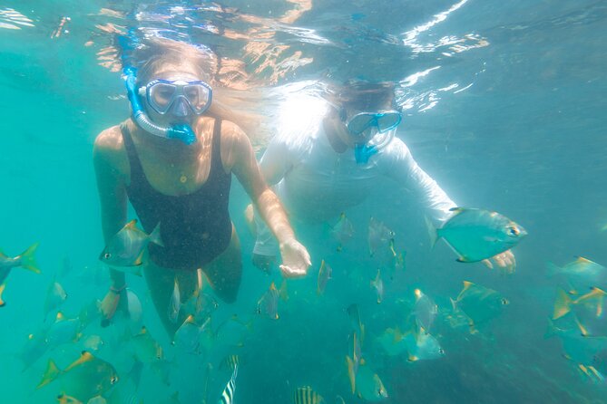 2-Hour Dolphin Kayak & Snorkel Tour on the Broadwater - Practical preparation for a better morning