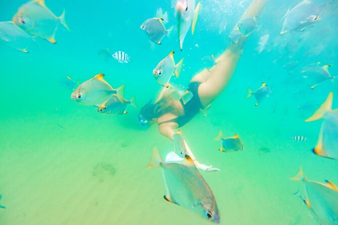 2-Hour Dolphin Kayak & Snorkel Tour on the Broadwater - Should you book the 2-hour kayak and snorkel tour?