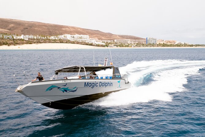 2-Hour Dolphin Watching Experience in Fuerteventura - Leaving Morro Jable at 10:00 am