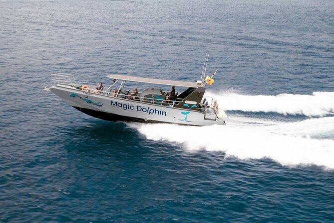 2-Hour Dolphin Watching Experience in Fuerteventura - Group size and the question of value