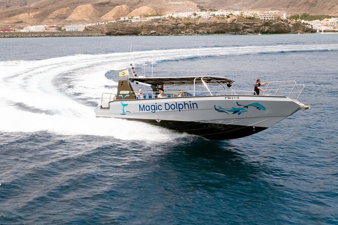 2-Hour Dolphin Watching Experience in Fuerteventura - Weather, cancellation, and practical planning