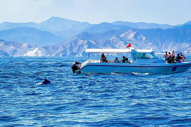 2 Hour Dolphin Watching Experience in Muscat - Muscat’s coast adds value to the two-hour trip