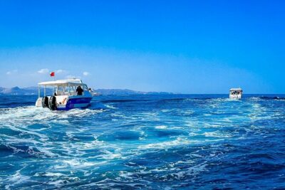 2 Hour Dolphin Watching Experience in Muscat