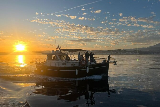2-Hour Excursion in Search of Dolphins/ Includes Drink and Snacks - Setting out from Estepona Marina
