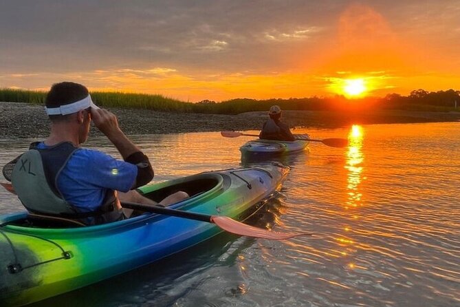 2 Hour Kayak Hilton Head Dolphin and Nature Tour - The nature lesson goes beyond dolphins