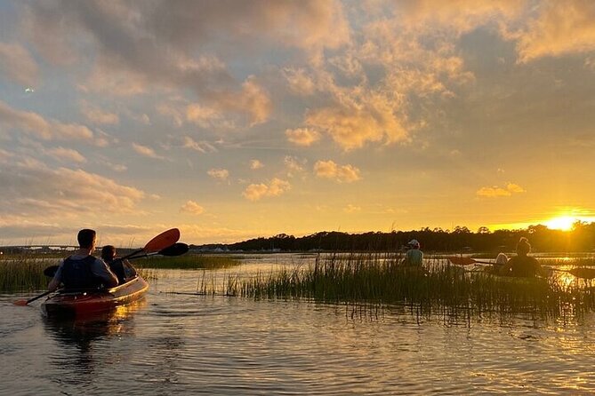 2 Hour Kayak Hilton Head Dolphin and Nature Tour - Price, group size, and practical value