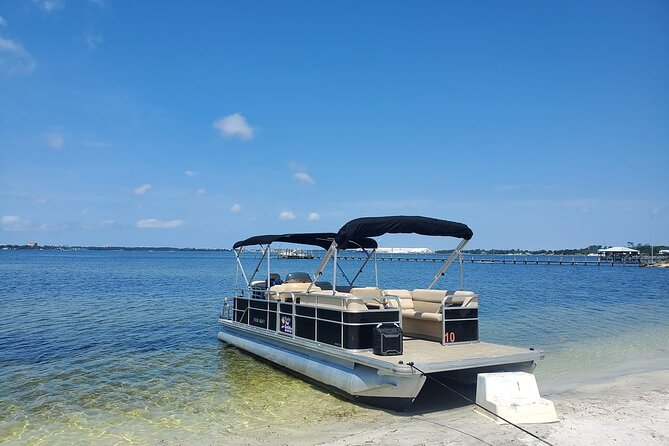 2 Hour Private Dolphin and Sightseeing Tour Shell Island - Setting out from Beck Avenue