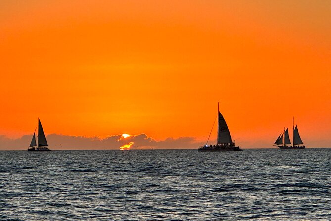 2 Hour Private Dolphin and Sightseeing Tour Shell Island - Sunset on the Gulf side