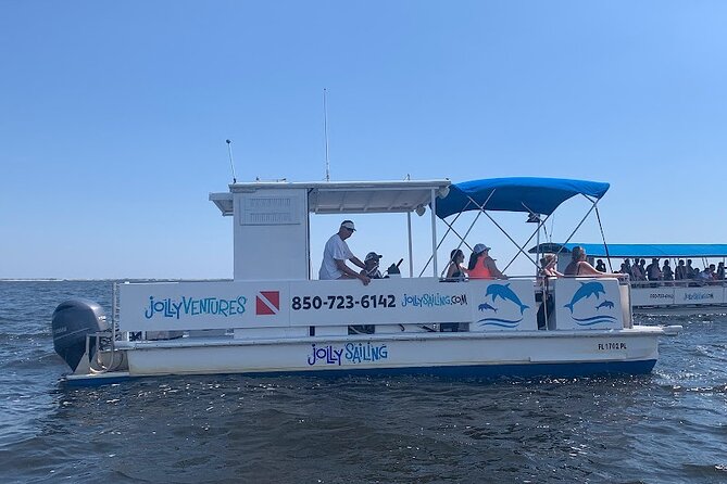 2 Hour Private Dolphin Cruise & Bay Tour - Watching dolphins in their natural habitat