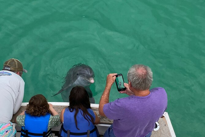 2 Hour Private Dolphin Sightseeing Tour - Why a private six-person boat changes the experience