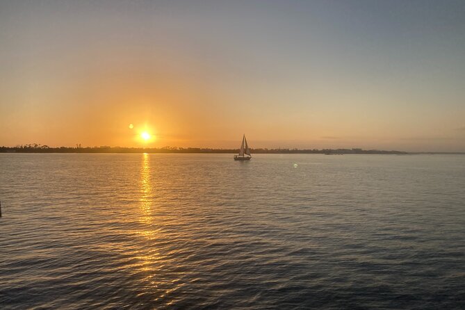 2 Hour Private Dolphin Sightseeing Tour - Watching for turtles, fish, birds, and manta rays